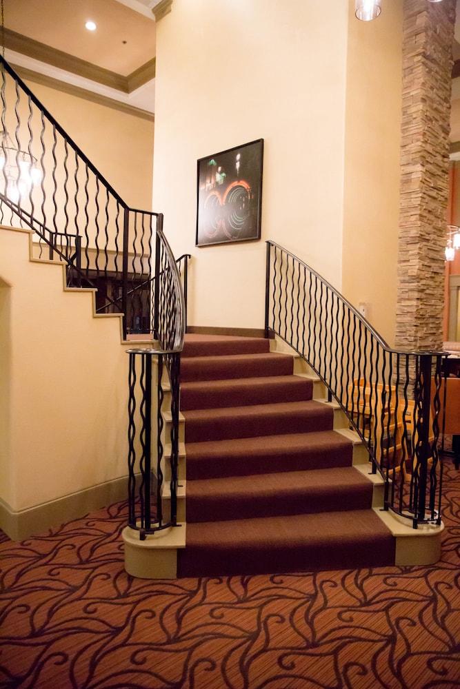 Homewood Suites By Hilton Houston-Woodlands-Shenandoah The Woodlands Dış mekan fotoğraf